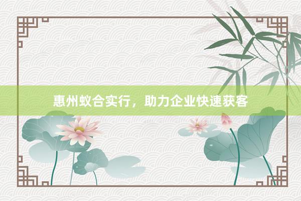 惠州蚁合实行，助力企业快速获客