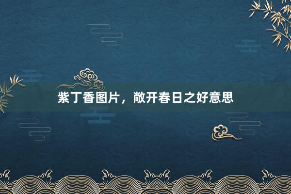 紫丁香图片，敞开春日之好意思